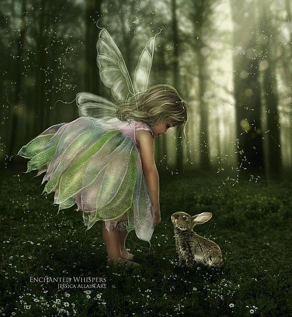 très jolie petite fée