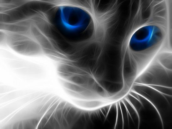 Le blog de francoisegrenierdroesch auteur fantastique  Je mettrai mes essais 